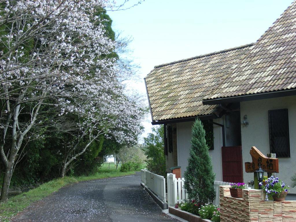Minshuku Hoshi No Sumika Hotel Shibushi ภายนอก รูปภาพ